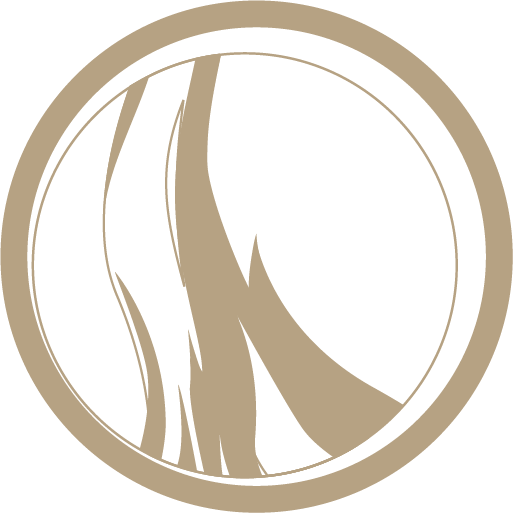 obs_favicon_g
